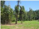 Lot 32 Tully Mission Beach Road, Birkalla QLD 4854