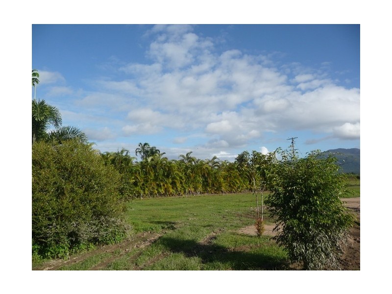 358 East Feluga Road, Mission Beach QLD 4852