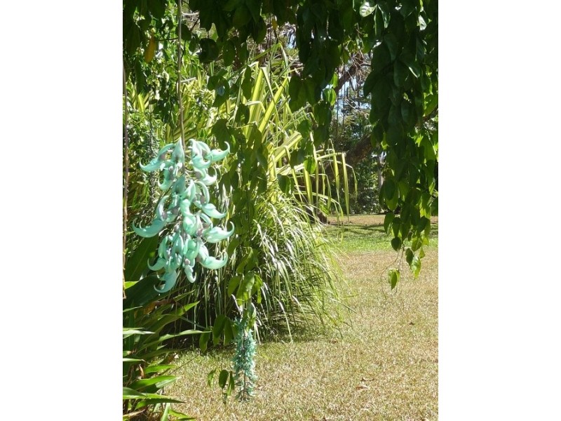 132 Boyett Road, Mission Beach QLD 4852
