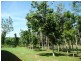 132 Boyett Road, Mission Beach QLD 4852