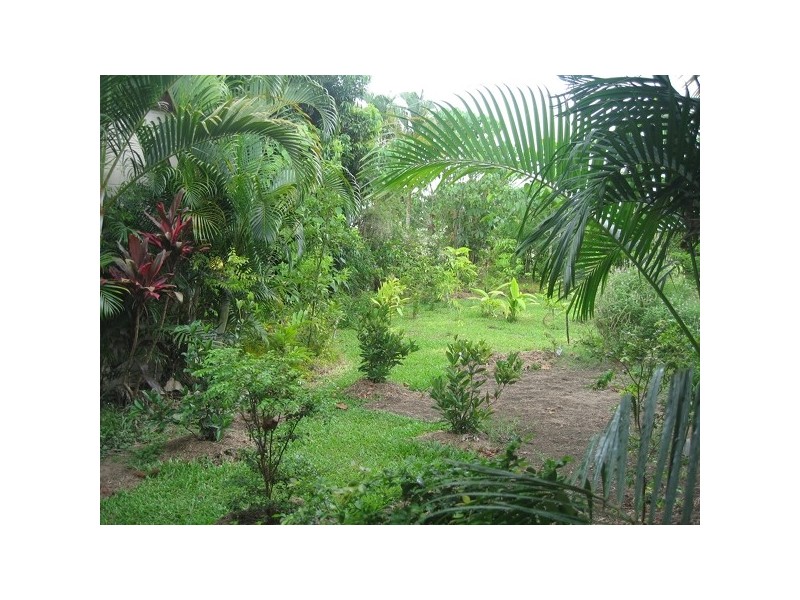 4 Walter Lever Estate Road, Silkwood QLD 4856