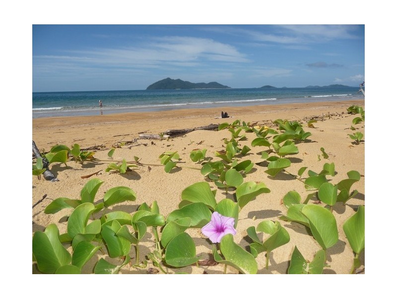 7 Oceanview Drive, Wongaling Beach QLD 4852