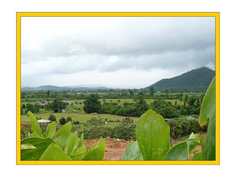 Lot 3 Shell Pocket Road, El Arish QLD 4855