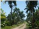 Lot 3 Shell Pocket Road, El Arish QLD 4855