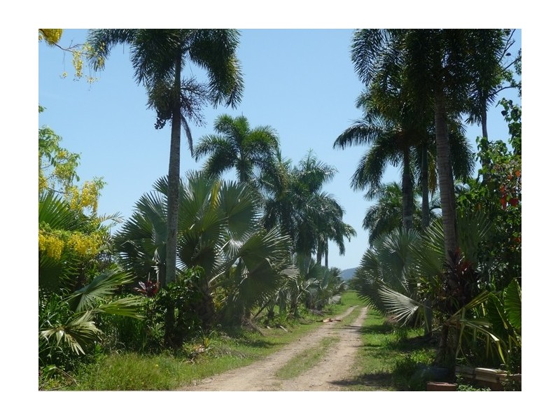 Lot 3 Shell Pocket Road, El Arish QLD 4855