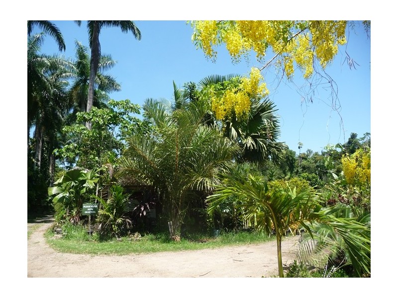 Lot 3 Shell Pocket Road, El Arish QLD 4855