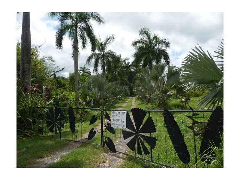 Lot 3 Shell Pocket Road, El Arish QLD 4855