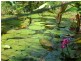 Lot 3 Shell Pocket Road, El Arish QLD 4855
