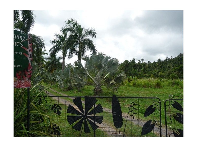 Lot 3 Shell Pocket Road, El Arish QLD 4855