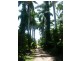 Lot 3 Shell Pocket Road, El Arish QLD 4855