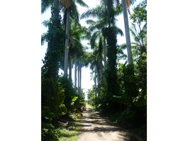 Lot 3 Shell Pocket Road, El Arish QLD 4855