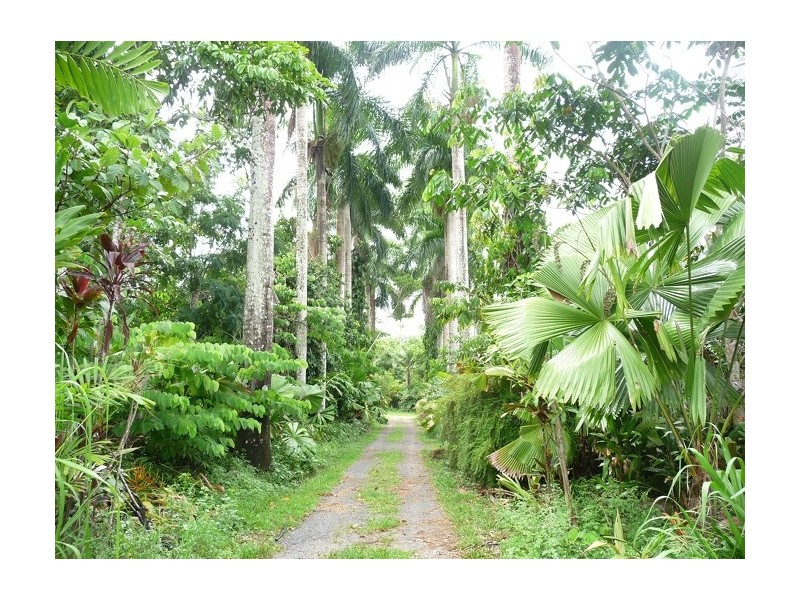 Lot 3 Shell Pocket Road, El Arish QLD 4855