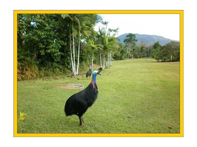 607 East Feluga Road, East Feluga QLD 4854