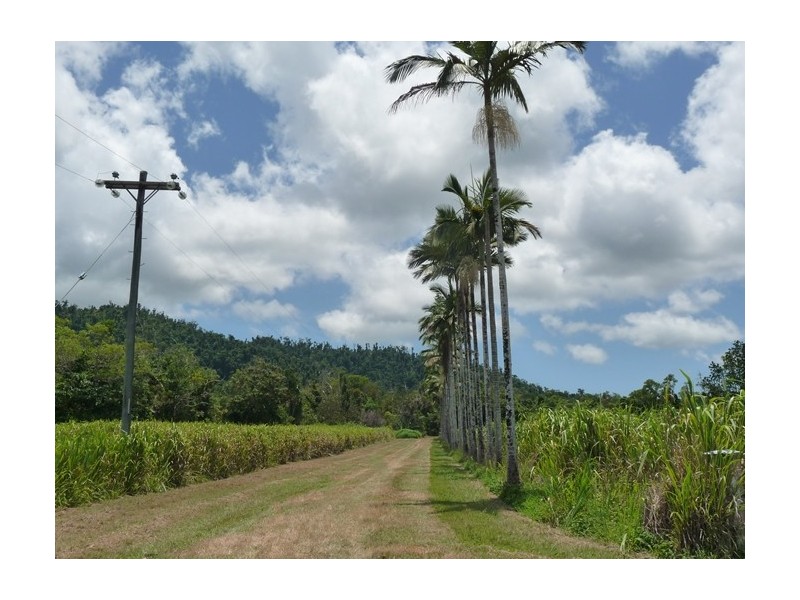 607 East Feluga Road, East Feluga QLD 4854