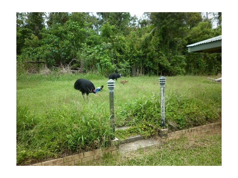 607 East Feluga Road, East Feluga QLD 4854