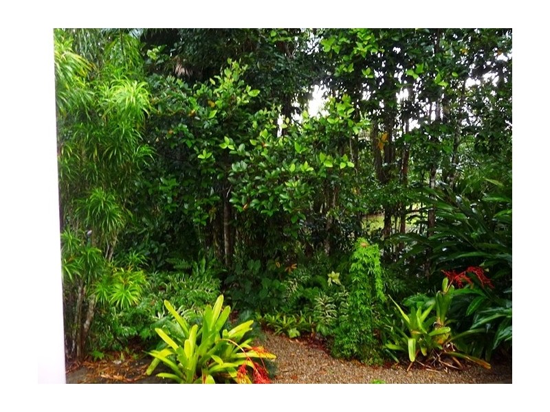 856 East Feluga Road, East Feluga QLD 4854