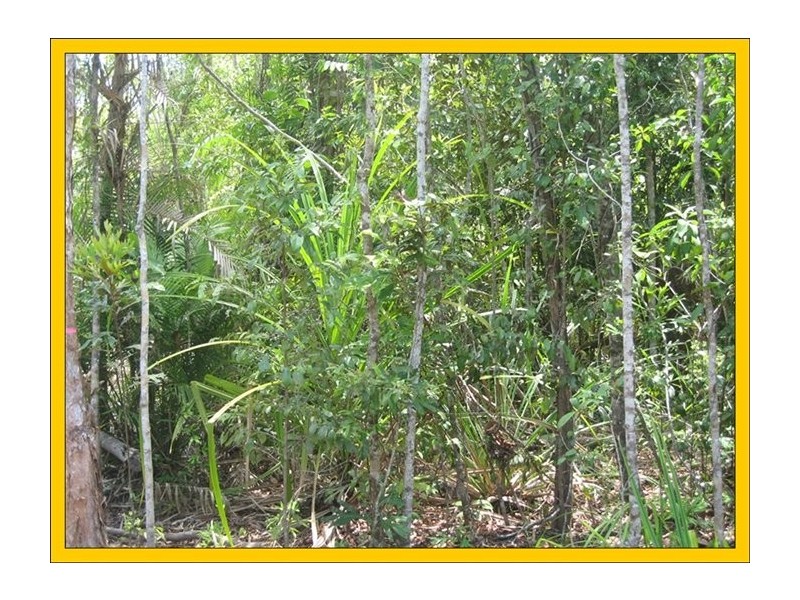 Mission Beach QLD 4852