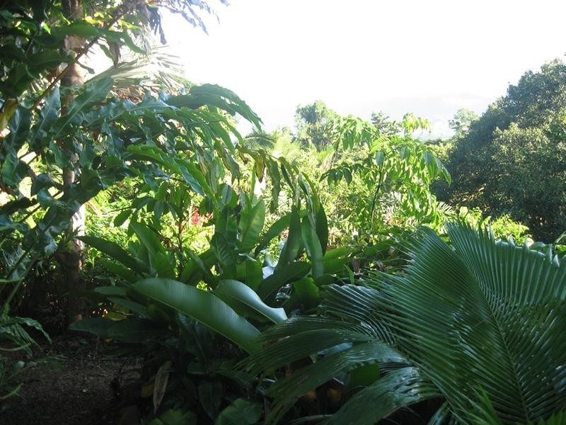 East Feluga QLD 4854