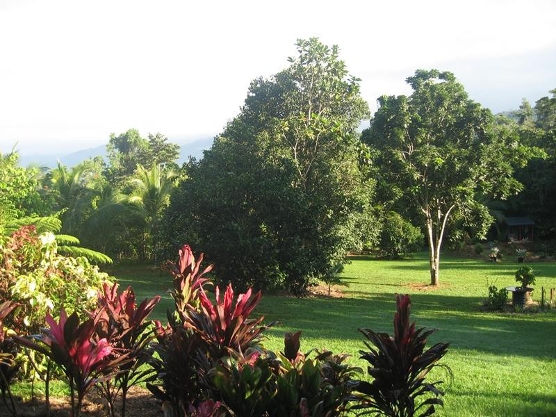 East Feluga QLD 4854