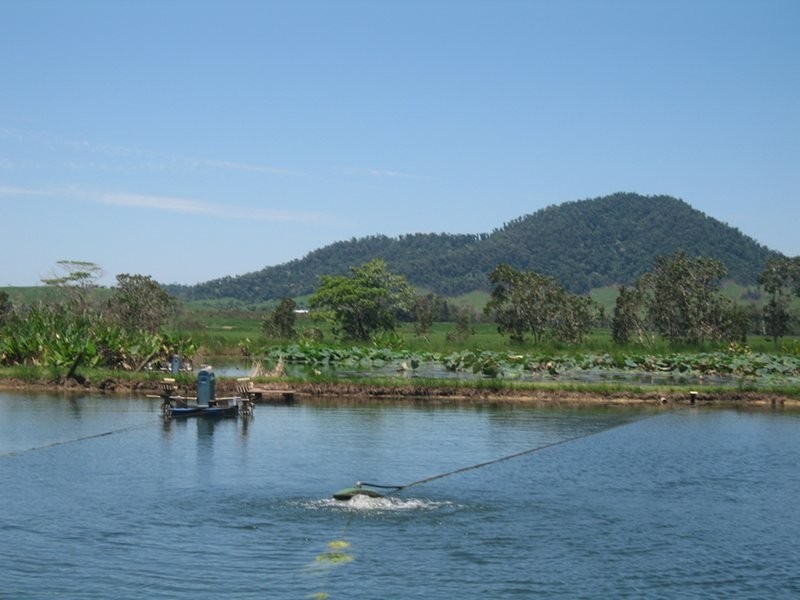 Mission Beach QLD 4852