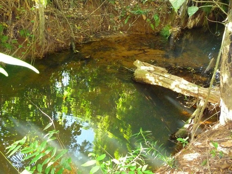 Carmoo QLD 4852
