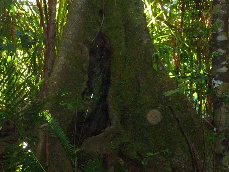 Carmoo QLD 4852
