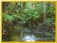 Carmoo QLD 4852