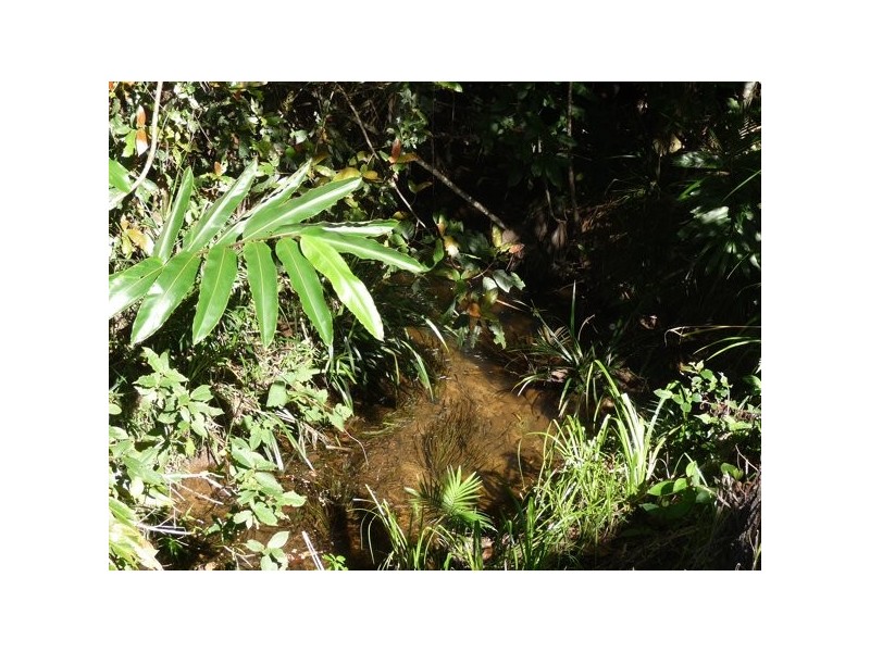 Mission Beach QLD 4852