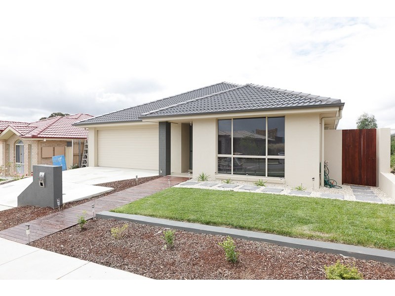 17 Barbara Jefferis Street, Franklin ACT 2913