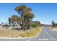 29 Amy Ackman Street, Forde ACT 2914