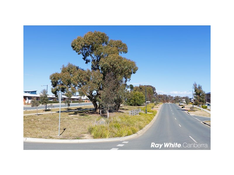 29 Amy Ackman Street, Forde ACT 2914