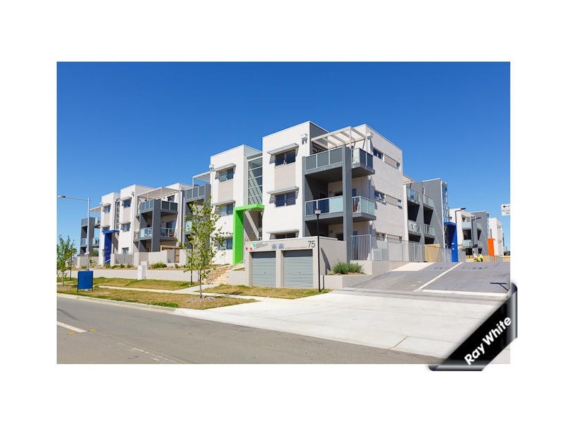 81/75 Elizabeth Jolley Crescent, Franklin ACT 2913