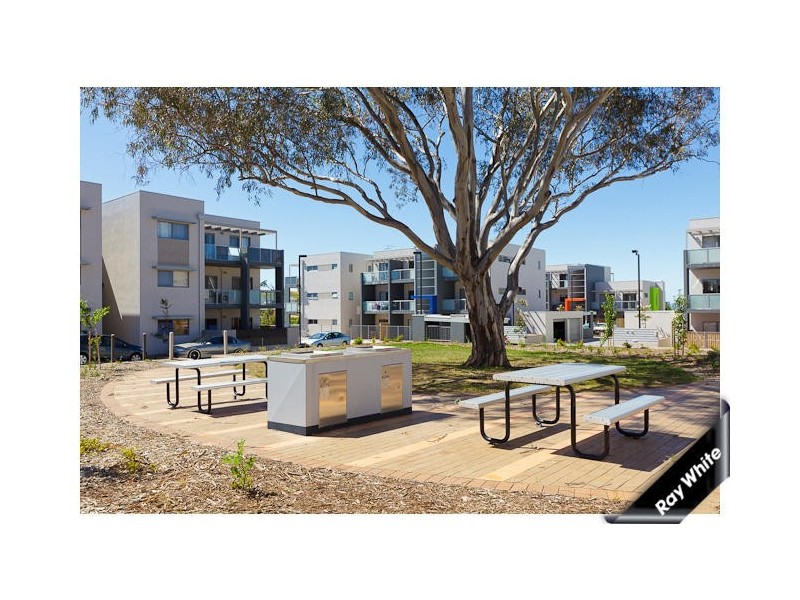 81/75 Elizabeth Jolley Crescent, Franklin ACT 2913