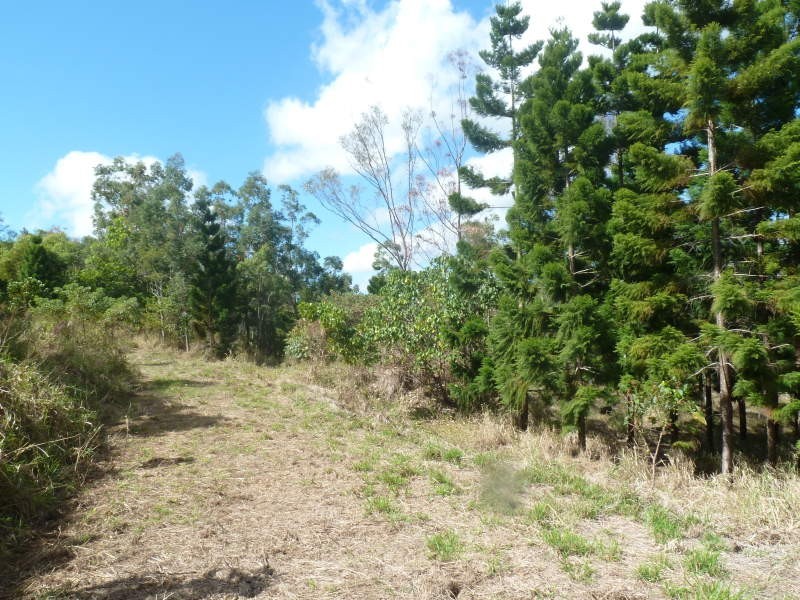 Lot 4 Thompson Court, Habana QLD 4740