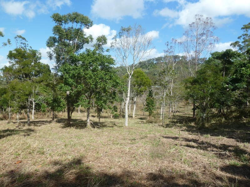 Lot 4 Thompson Court, Habana QLD 4740