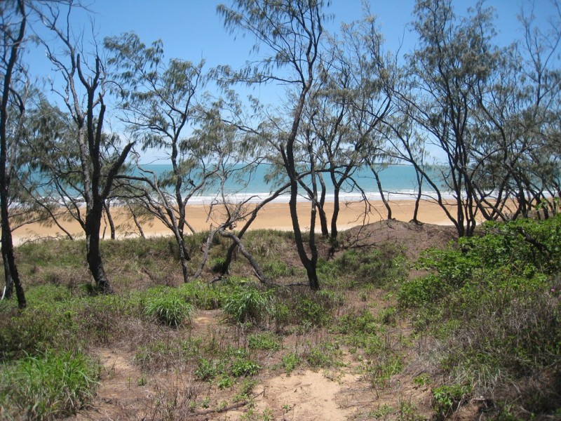 119 Rasmussen Av, Hay Point QLD 4740