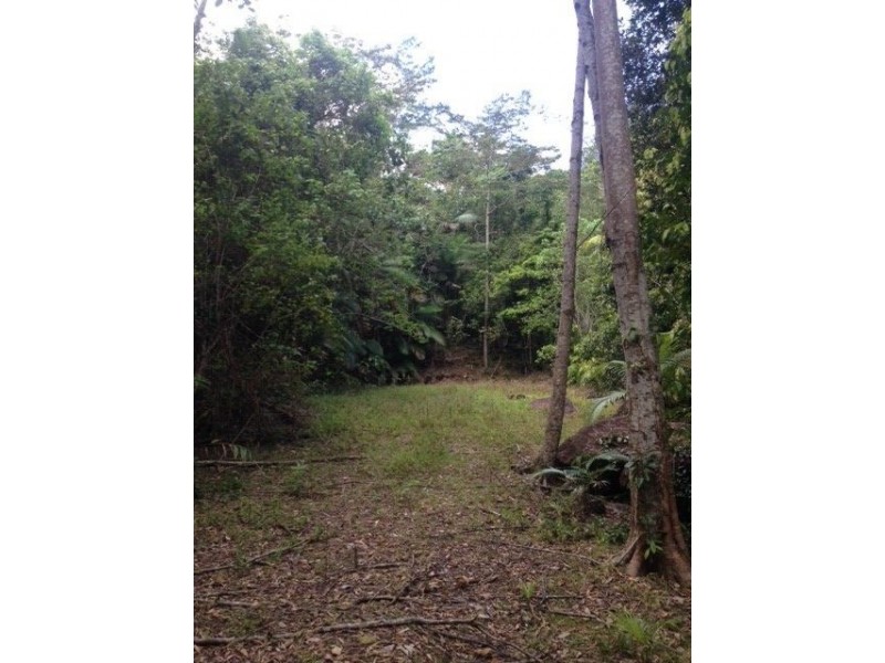 14 Boulder Road, Finch Hatton QLD 4756