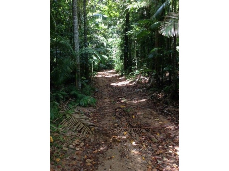 14 Boulder Road, Finch Hatton QLD 4756