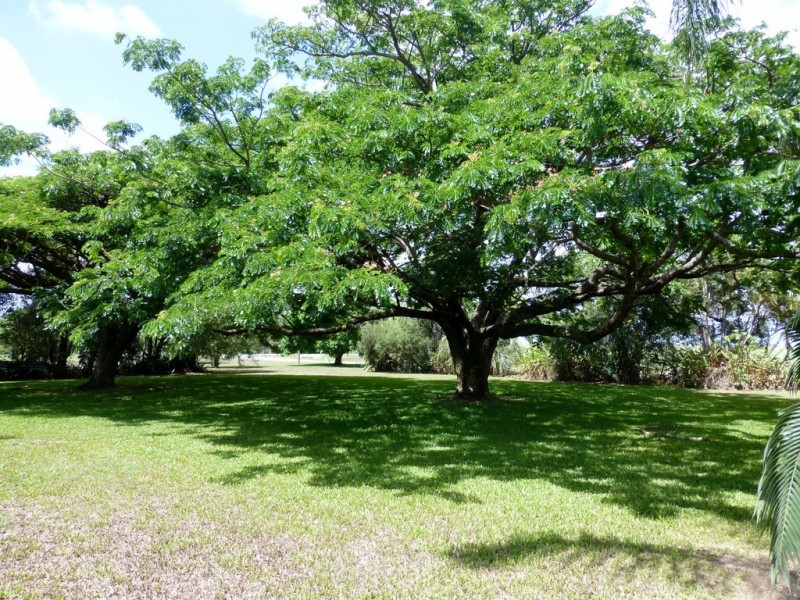 12 Cox’s Road, Balnagowan QLD 4740