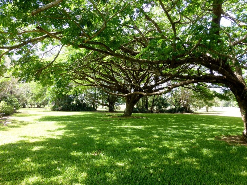 12 Cox’s Road, Balnagowan QLD 4740