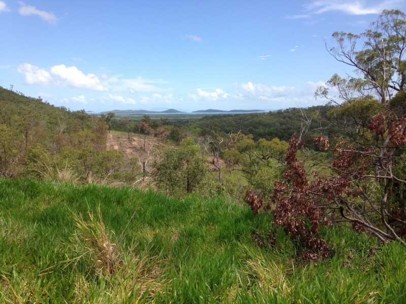 909 Gormleys Road, Seaforth QLD 4741