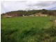 909 Gormleys Road, Seaforth QLD 4741