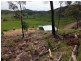 909 Gormleys Road, Seaforth QLD 4741