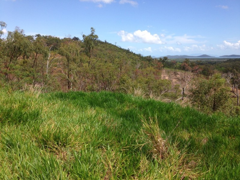 909 Gormleys Road, Seaforth QLD 4741