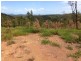 909 Gormleys Road, Seaforth QLD 4741