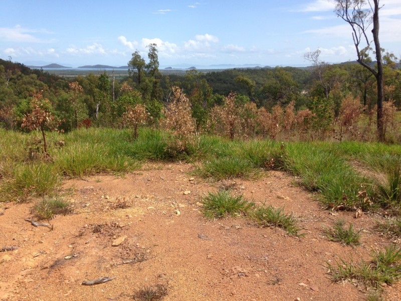 909 Gormleys Road, Seaforth QLD 4741