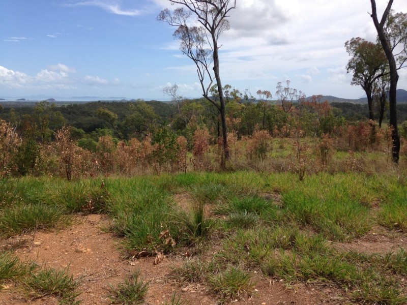 909 Gormleys Road, Seaforth QLD 4741
