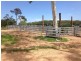 909 Gormleys Road, Seaforth QLD 4741
