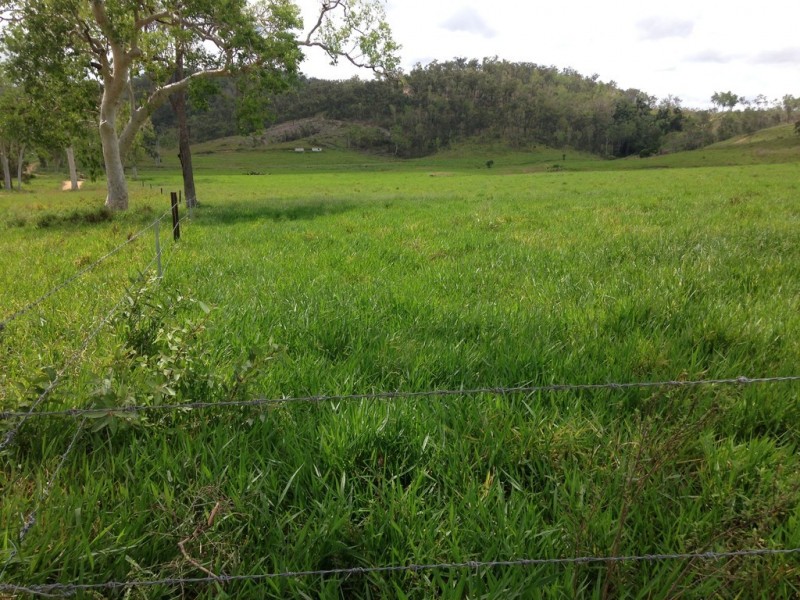 909 Gormleys Road, Seaforth QLD 4741