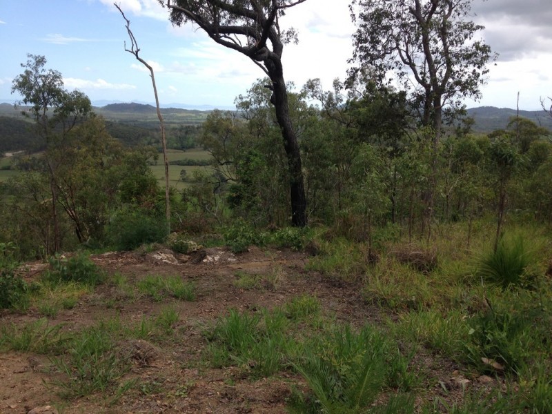 909 Gormleys Road, Seaforth QLD 4741
